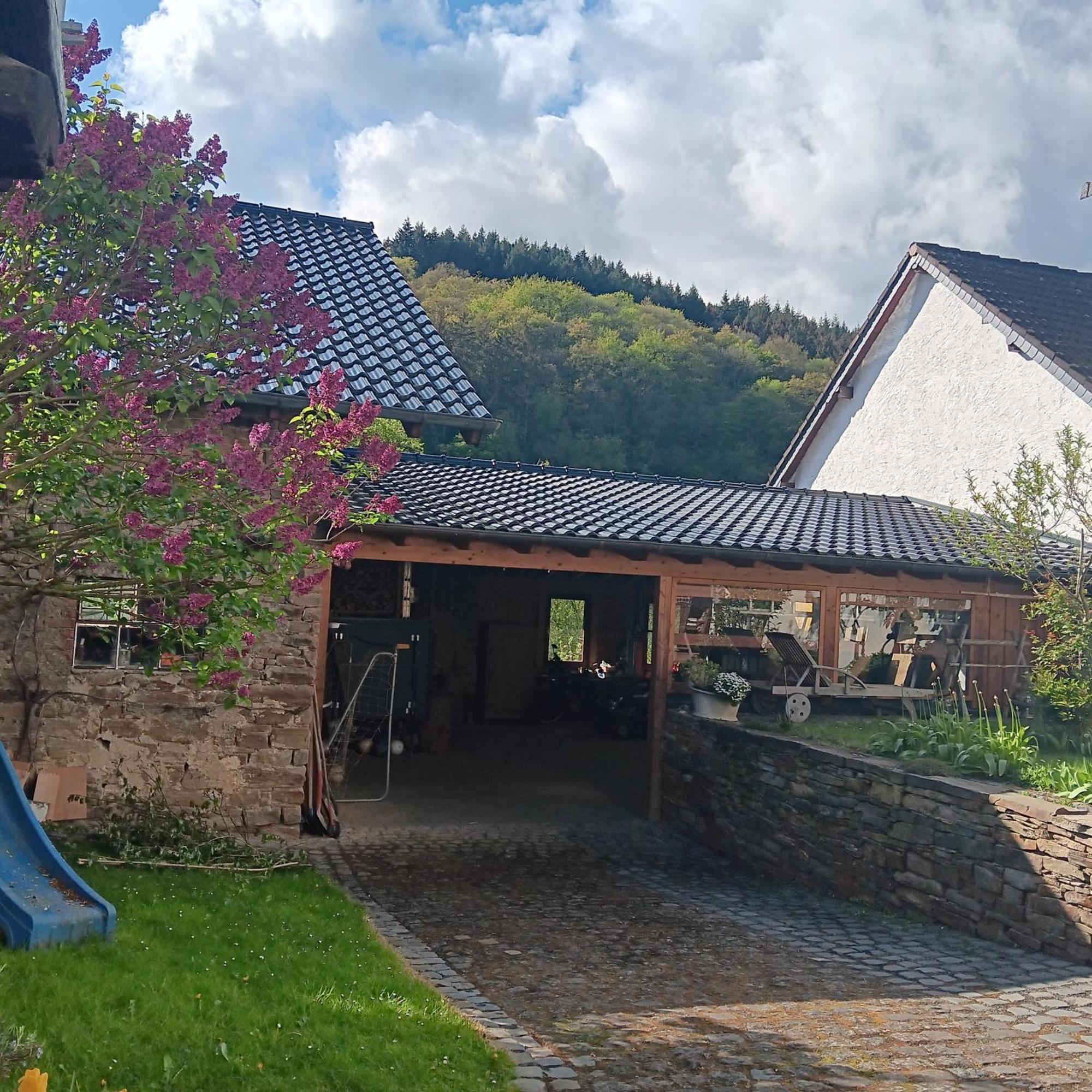 Вилла Eifler Brunnenhaus Dumpelfeld Экстерьер фото